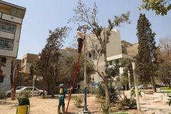 نصب پرژکتورهای روشنایی بوستان‌های منطقه ۱۹ به ۵۷۲ عدد رسید