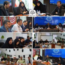 تقویت همکاری های دو جانبه به منظور ساماندهی زنان آسیب دیده یا در معرض آسیب اجتماعی