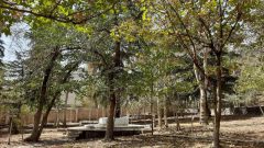 شروع پروژه‌های آماده‌سازی بوستان در محلات اراج و زعفرانیه/ ایجاد سه هکتار فضای سبز پایدار در منطقه یک