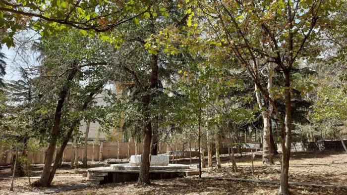 شروع پروژه‌های آماده‌سازی بوستان در محلات اراج و زعفرانیه/ ایجاد سه هکتار فضای سبز پایدار در منطقه یک