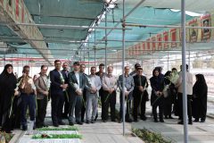 غبار روبی و عطرافشانی قبور شهدا توسط کارکنان اداره کل محیط زیست شهرداری تهران