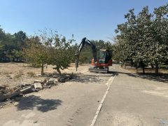 احداث نخستین زمین بازی ویژه کودکان اوتیسم در بوستان الهام منطقه ۵