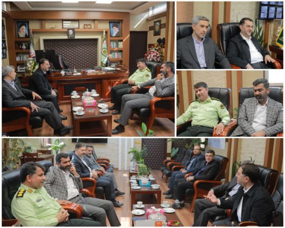 نقش کلیدی پلیس در برقراری امنیت مسافران شهر فرودگاهی امام خمینی(ره)