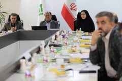 نشست کمیسیون دائمی هیأت امنای پژوهشکده بیمه؛ گام های بلند در مسیر تحول