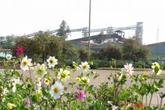 مزیت‌های نسبی از دست‌رفته و ضرورت بازنگری در حکمرانی فولاد