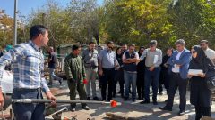 آمادگی شهرداری منطقه یک برای هرس و برف‌تکانی درختان در شش ماه دوم سال