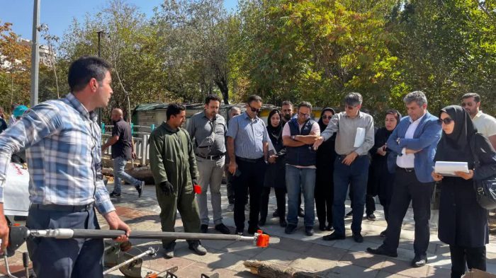 آمادگی شهرداری منطقه یک برای هرس و برف‌تکانی درختان در شش ماه دوم سال