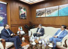 ایده درمان تكمیلی كیشوندان در دست بررسی است