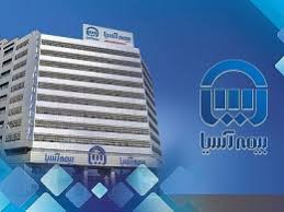 رشد پرقدرت نماد آسیا در سالی پرنوسان