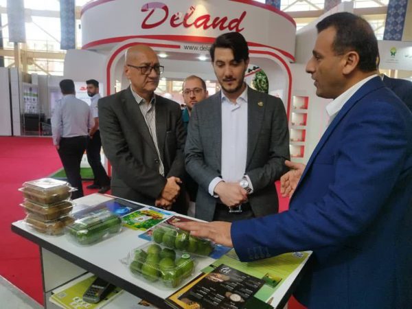 باغخانی پور: بقایای محصولات تراریخته برای محیط زیست نامناسب است