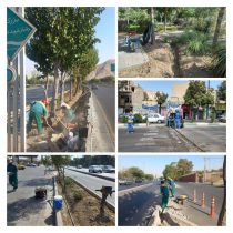 گام بلند اداره فضای سبز منطقه ۲۰ در توسعه شبکه آبرسانی و مدیریت مصرف آب