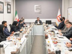 استفاده از ظرفیت‌های بخش ارزی برای جذب منابع پایدار