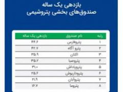 پتروفارس» رتبه اول بازدهی در بین صندوق‌های پتروشیمی