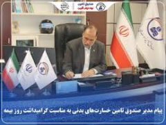 پیام مدیر صندوق تأمین خسارت‌های بدنی به مناسبت گرامیداشت روز بیمه