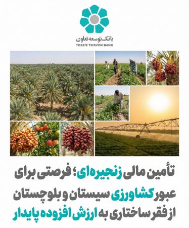 تأمین مالی زنجیره ای؛ فرصتی برای عبور کشاورزی سیستان و بلوچستان از فقر ساختاری به ارزش افزوده پایدار