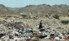 برخورد قانونی با مالکان مراکز پسماندسوزی غیرمجاز در تهران صورت گیرد/ لزوم پیگیری سازمان حفاظت محیط زیست و شورای تامین استان