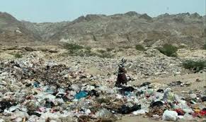 برخورد قانونی با مالکان مراکز پسماندسوزی غیرمجاز در تهران صورت گیرد/ لزوم پیگیری سازمان حفاظت محیط زیست و شورای تامین استان