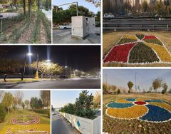 تحول گسترده در سیمای شهری منطقه ۲۰ با اجرای طرح‌های فضای سبز
