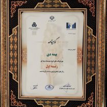 در بیست و هشتمین مراسم رتبه بندی ۱۰۰ شرکت برتر؛ بیمه دی رتبه اول مؤسسات بیمه ای کشور شد