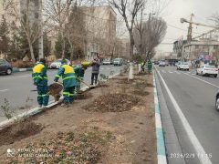 آغاز طرح‌های استقبال از بهار در منطقه ۸ با محوریت زیباسازی شهری و توسعه فضای سبز