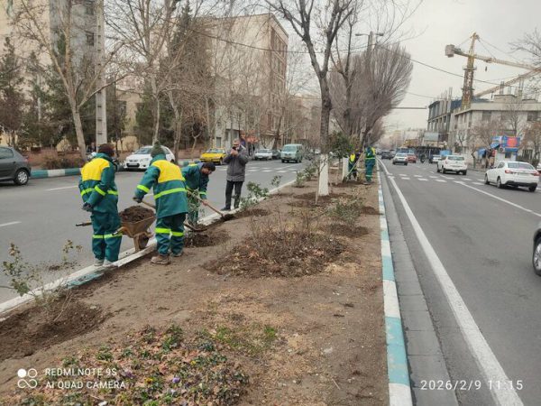 آغاز طرح‌های استقبال از بهار در منطقه ۸ با محوریت زیباسازی شهری و توسعه فضای سبز