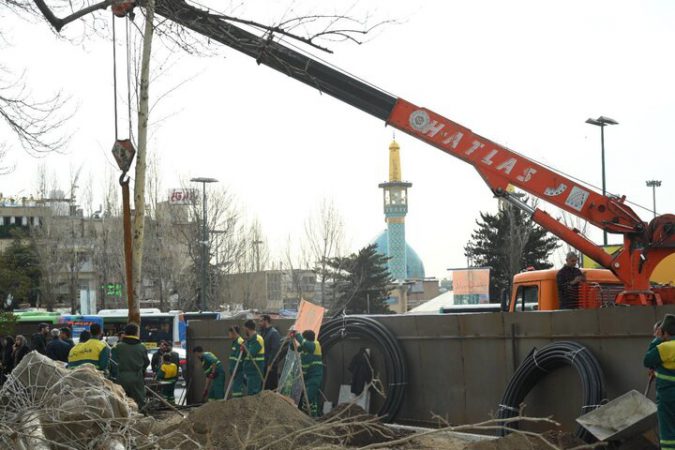 ۱۳ اصله درخت دیگر به فضای سبز میدان تجریش اضافه شد