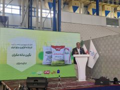 راه‌اندازی بزرگترین کارخانه فرآوری و بسته‌بندی تمام مکانیزه جنوب شرق کشور در منطقه آزاد چابهار