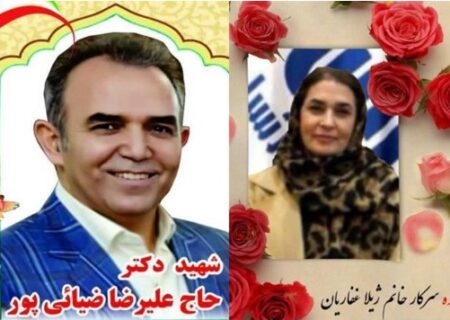 دو تن از کارکنان صنعت بیمه به قافله شهدا پیوستند