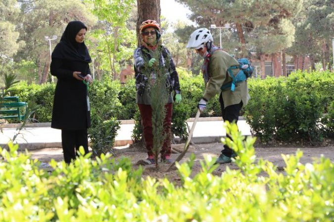 ۵۰ اصله نهال سرو در بوستان پیروزی منطقه ۱۳ کاشته شد