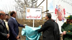 بازتاب پویش ملی «ریشه در وطن داریم» در رسانه ملی/کاشت ۱۵۳هزار نهال به یاد ۱۵۳ شهید مدرسه میناب