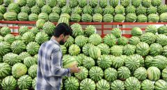 اختلاف قیمت ۴۰ درصدی میوه در میادین و بازارهای میوه و تره‌بار به نسبت سطح شهر