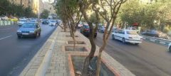 امتداد معبر آفرین در طرشت بازگشایی شد/ بن‌بست قدیمی آفرین بازگشایی شد