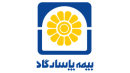 هنر بیمه‌گری در بیمه پاسارگاد؛ وقتی کیفیت، فاصله‌ها را بیشتر می‌کند