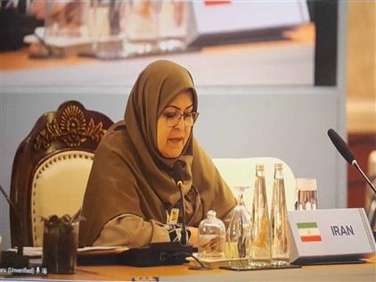 رئیس سازمان ملی استاندارد ایران بر توسعه همکاری‌های فنی بریکس؛ از هوش مصنوعی تا اقتصاد سبز تأکید کرد