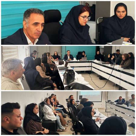 نشست هم‌اندیشی بیمه دی استان البرز با کارگزاران فعال؛ تأکید بر نقش راهبردی شبکه فروش در توسعه بیمه‌های زندگی